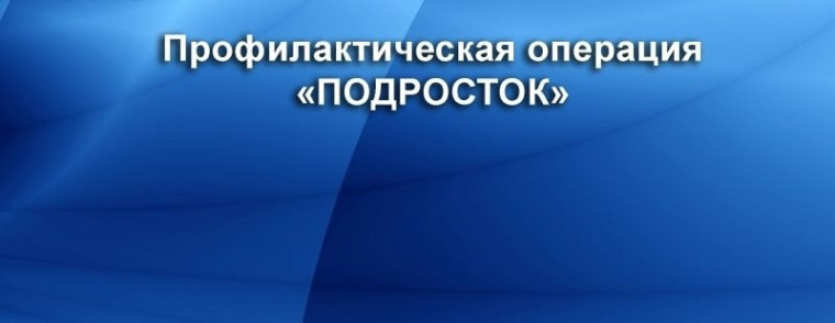 Профилактическая акция "Подросток".
